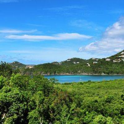 340 Real Estate Fish Tales-29