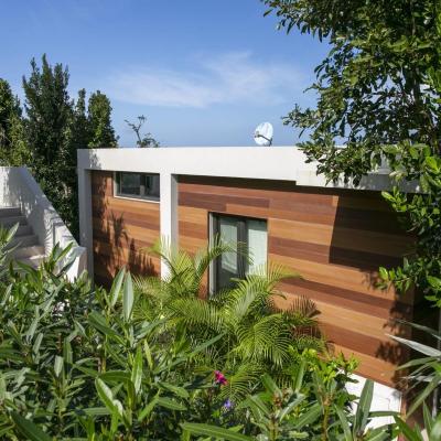 Calichi at Picture Point- The Royal Palm Villa Bordeaux Mtn, Coral Bay Villa-1