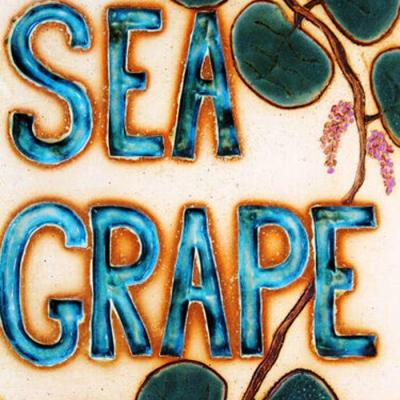 SEA GRAPE AT BATTERY HILL-3