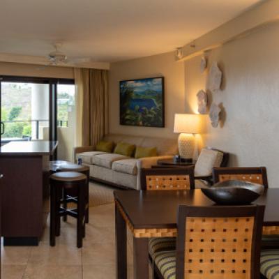 Virgin Grand Studio Villa-9