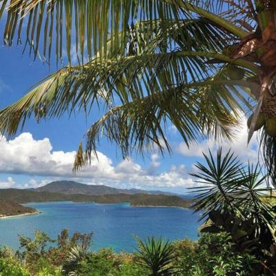 Windwardside Main House